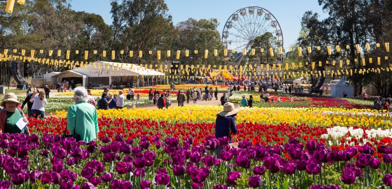 Canberra Australian capital city festivals spring
