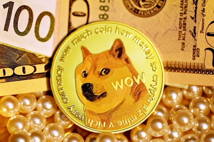 Meme Coin Shiba Inu Surpasses Doge By Market Cap