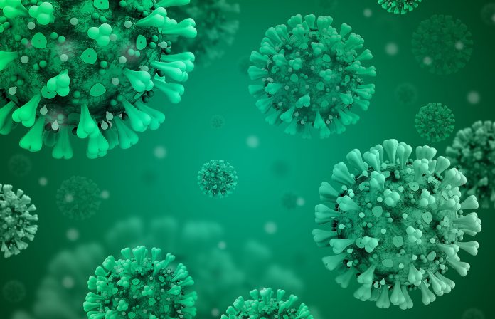 Travellers note - Langya Virus detected in Northeast China