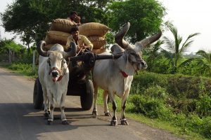 India - Gujarat Elections, results