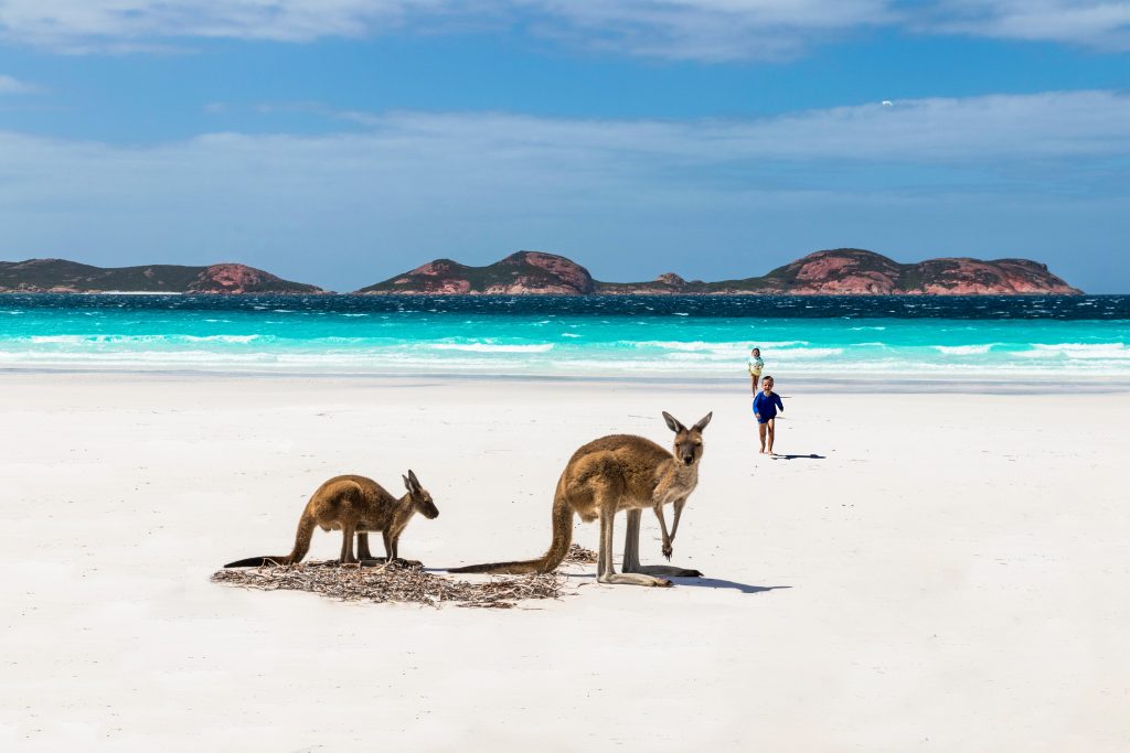 Visit Australia again - Attractions, Entertainment, Dining