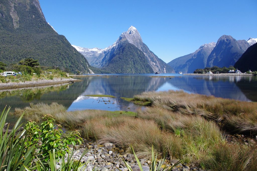 Travel Stories from New Zealand