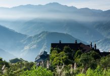 Visitors coming back to Taiwan