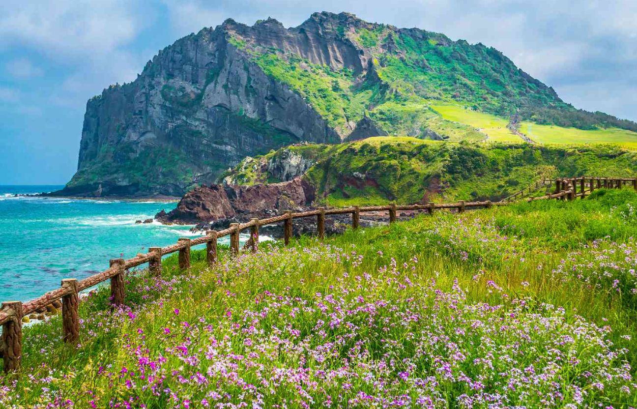 the Jeju Island